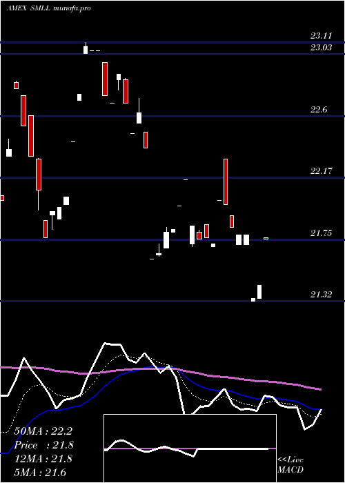  Daily chart DirexiionDaily