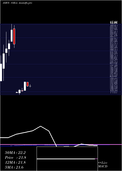  monthly chart DirexiionDaily