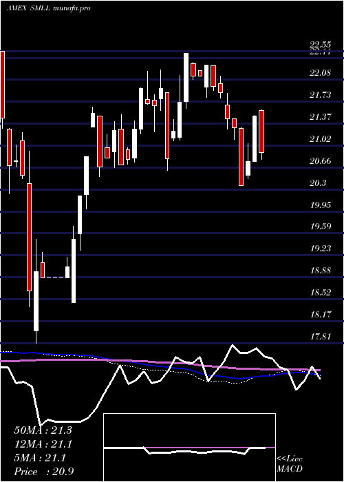 weekly chart DirexiionDaily