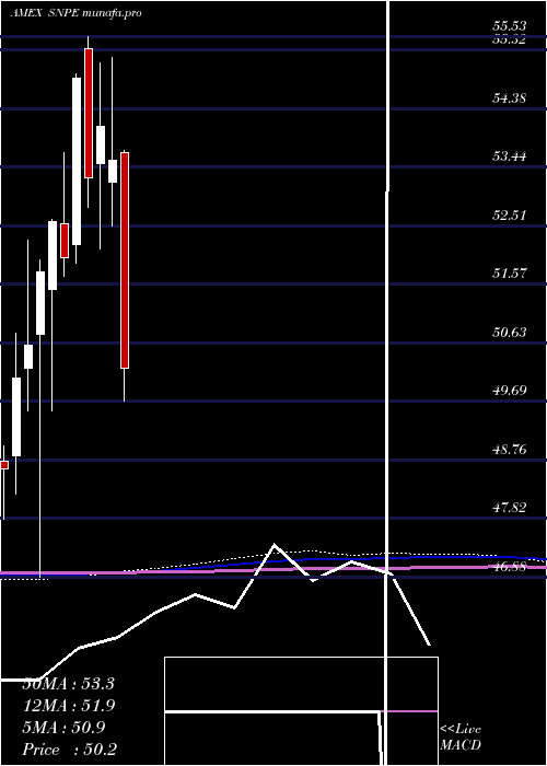  monthly chart XtrackersS