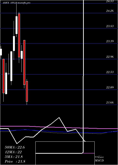  monthly chart SpdrLong