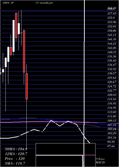  monthly chart DirexionDaily