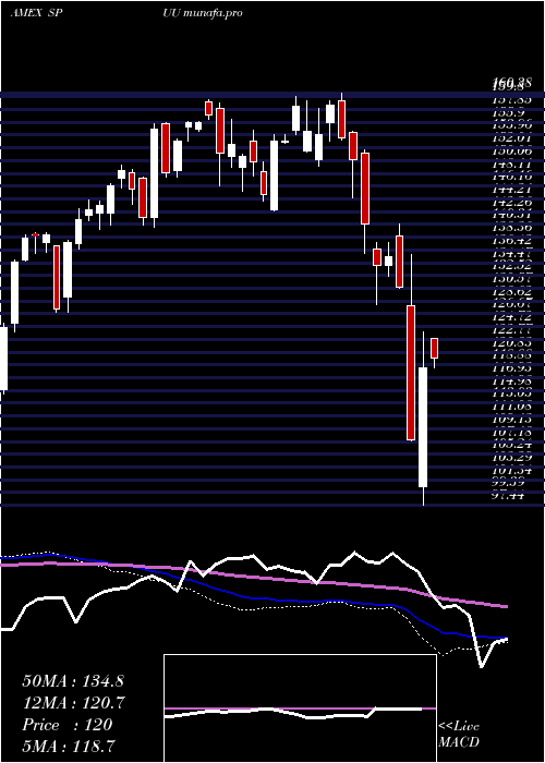  weekly chart DirexionDaily