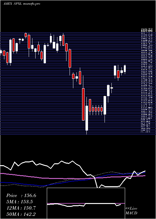 weekly chart DirexionDaily