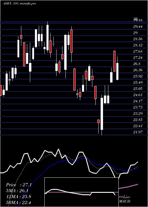  Daily chart UltrashortSemiconductors