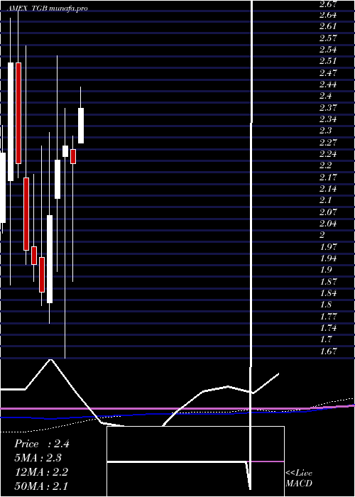 monthly chart TasekoMines