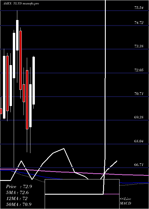  monthly chart FlexsharesMorningstar