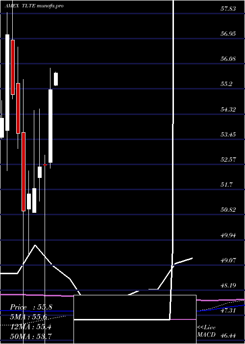 monthly chart FlexsharesMorningstar