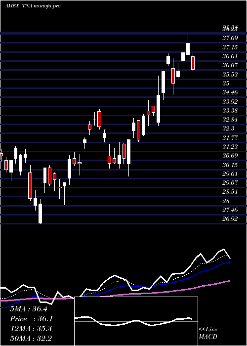 Daily chart SmallcapBull