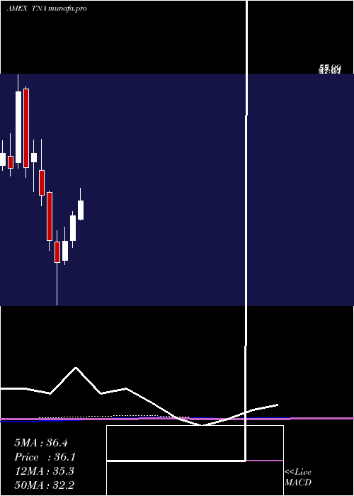 monthly chart SmallcapBull