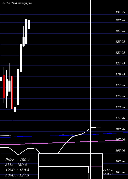  monthly chart KokusaiIndex