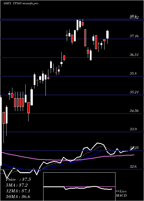 Daily chart TimothyPlan