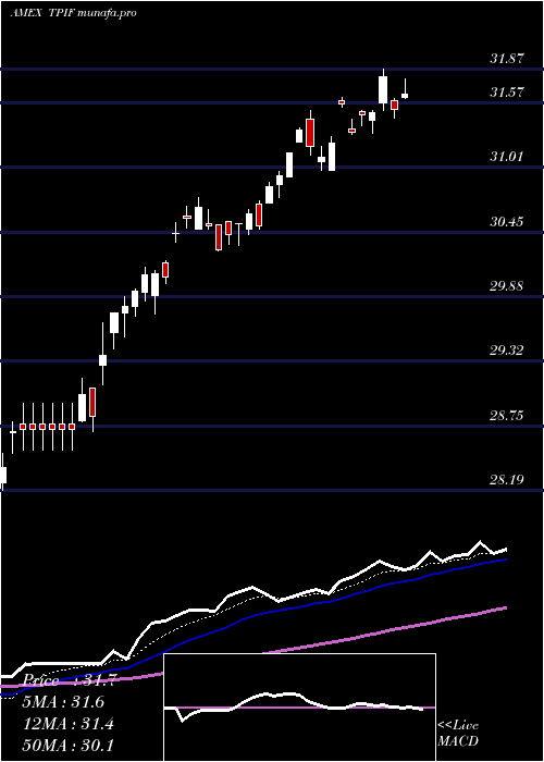 Daily chart TimothyPlan
