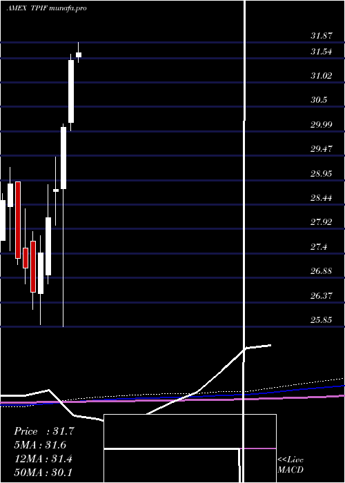 monthly chart TimothyPlan