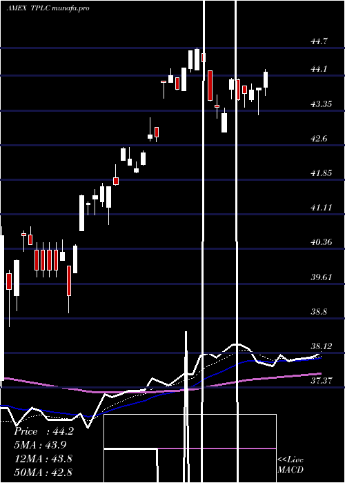  Daily chart TimothyPlan