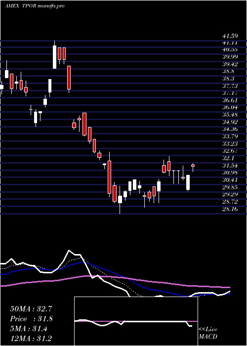  Daily chart TransportationBull