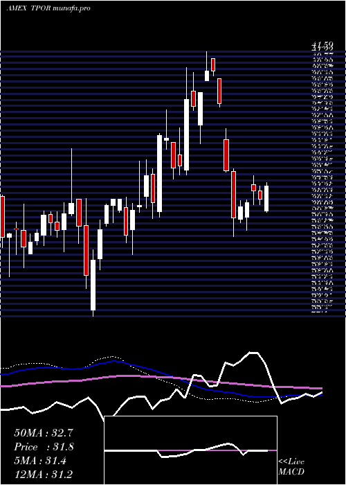  weekly chart TransportationBull