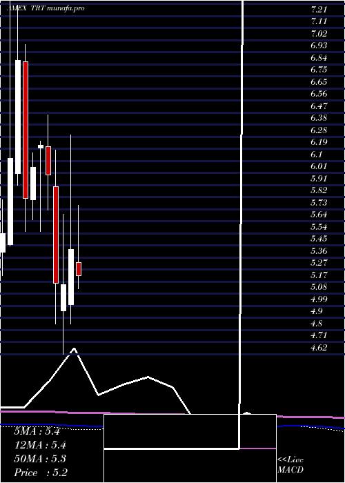 monthly chart TrioTech