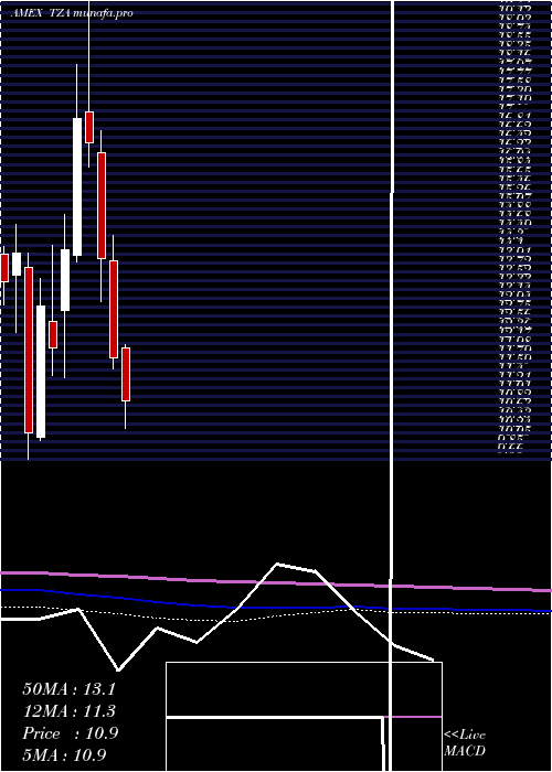 monthly chart SmallcapBear