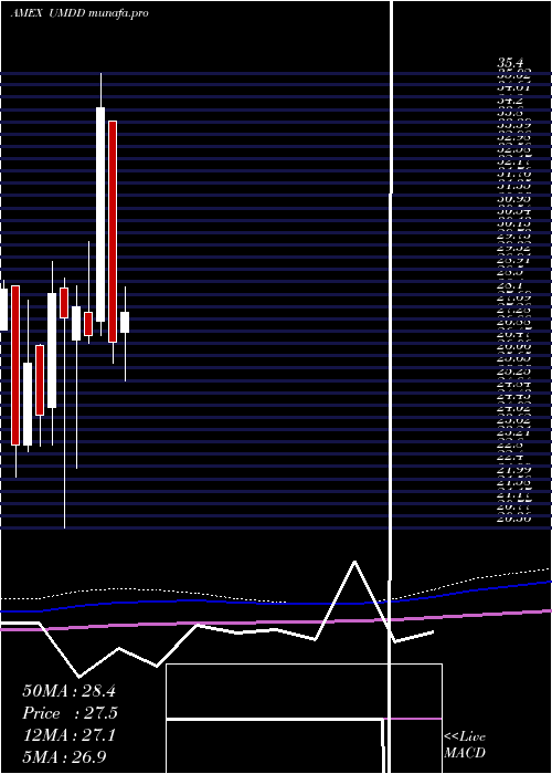  monthly chart UltraproMidcap