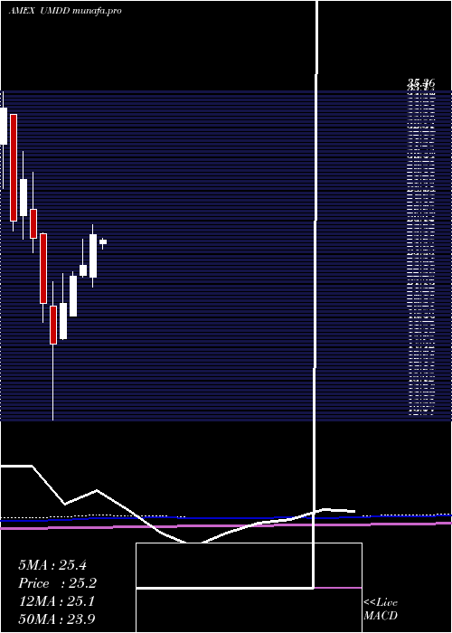  monthly chart UltraproMidcap