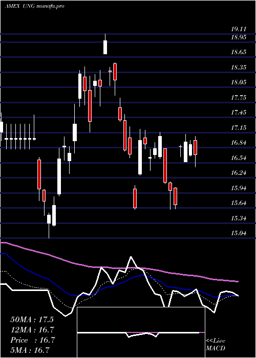  Daily chart UsNatural