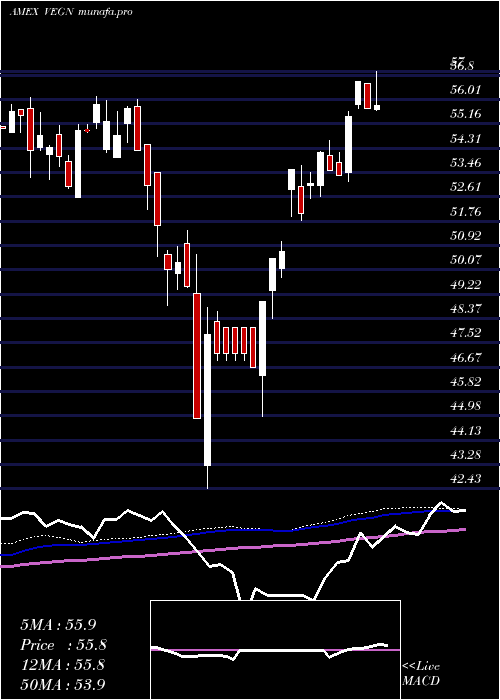 weekly chart UsVegan