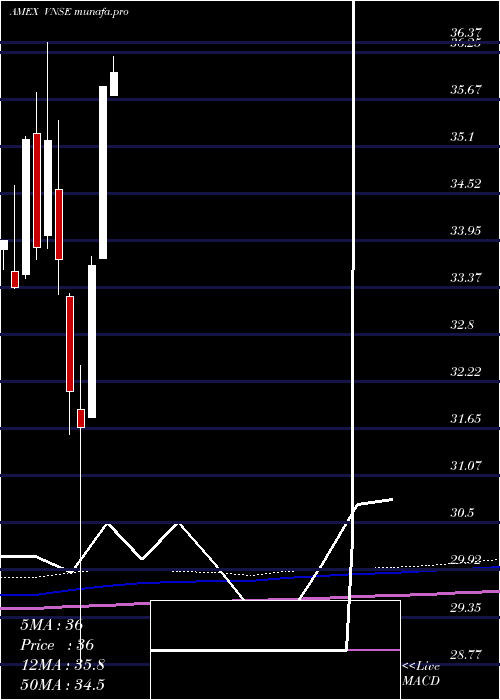 monthly chart NatixisVaughan