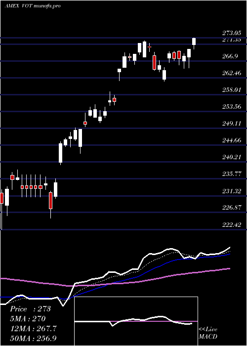 Daily chart MidcapGrowth