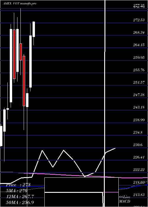 monthly chart MidcapGrowth