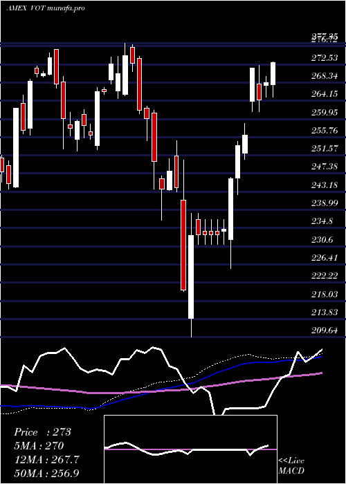 weekly chart MidcapGrowth