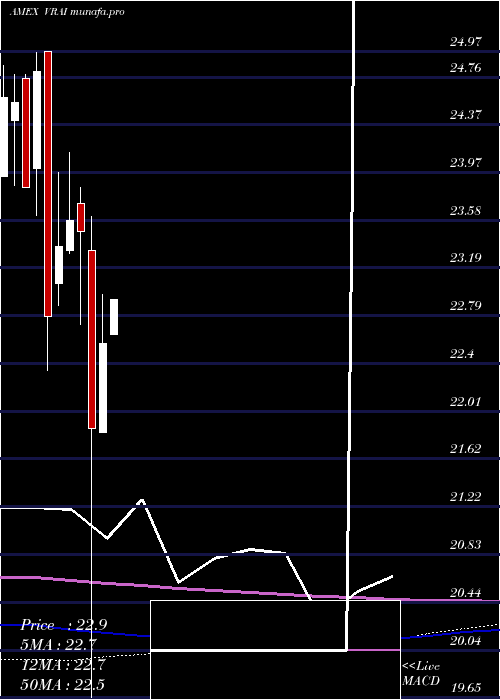 monthly chart VirtusReal
