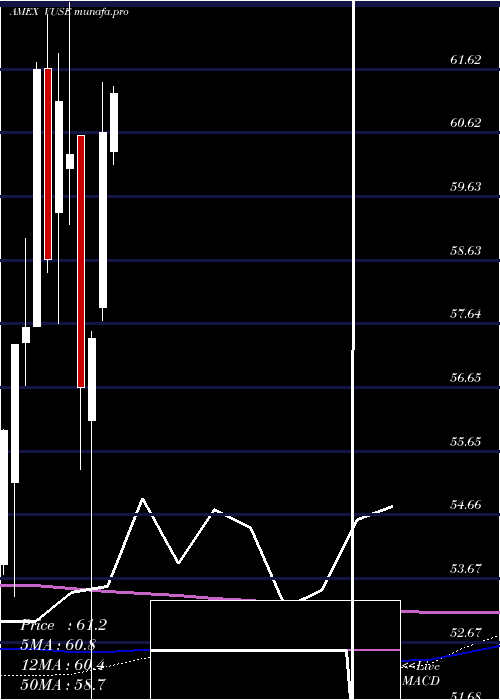 monthly chart VidentCore