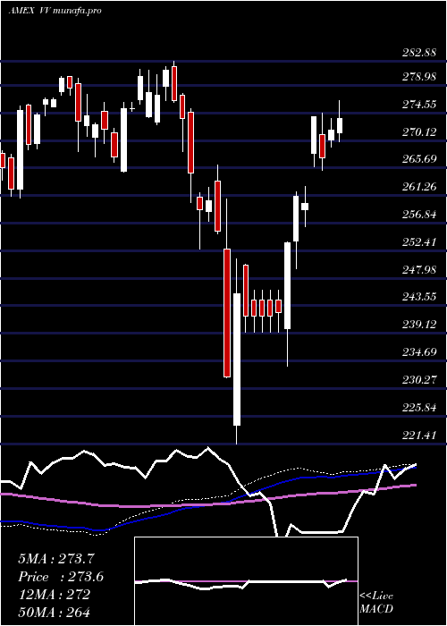 weekly chart LargecapEtf