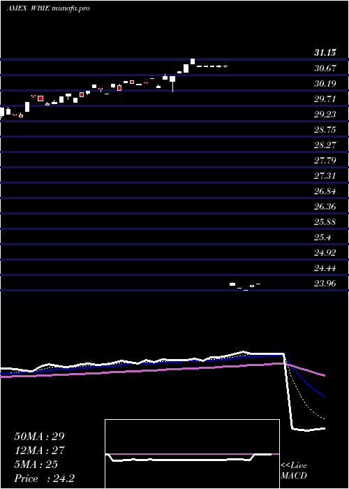  Daily chart WbiLarge