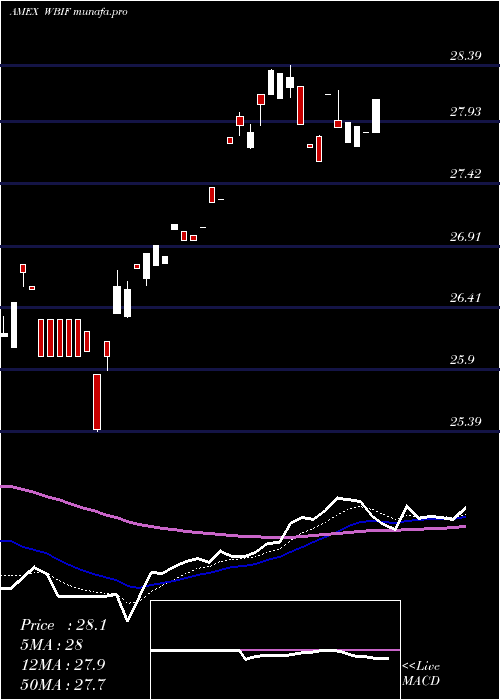 Daily chart WbiLarge