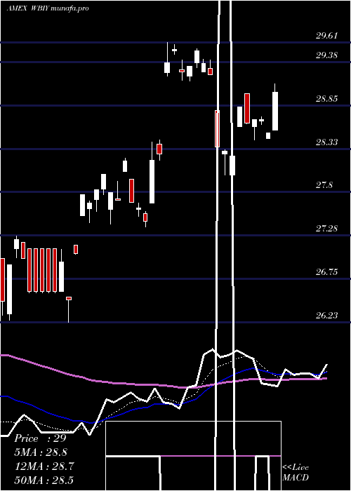  Daily chart WbiLargecap