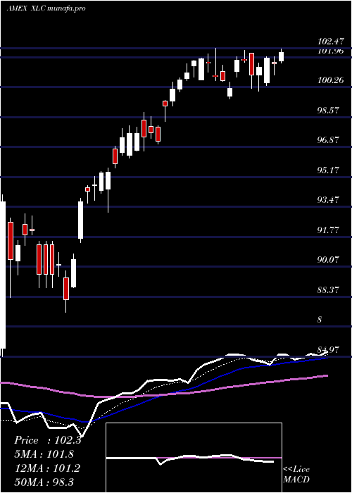 Daily chart SP