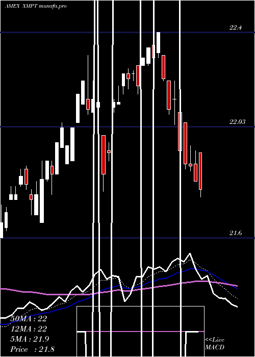  Daily chart CefMunicipal