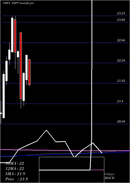  monthly chart CefMunicipal