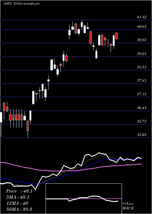 Daily chart SP