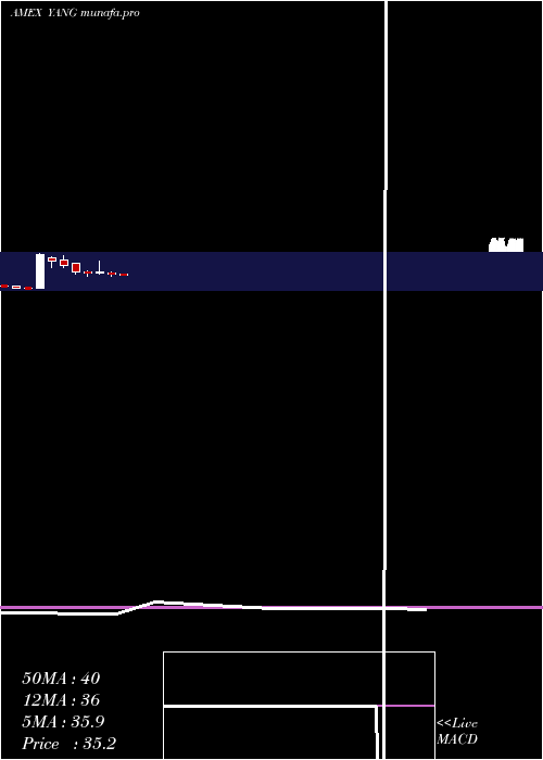 monthly chart DirexionDaily
