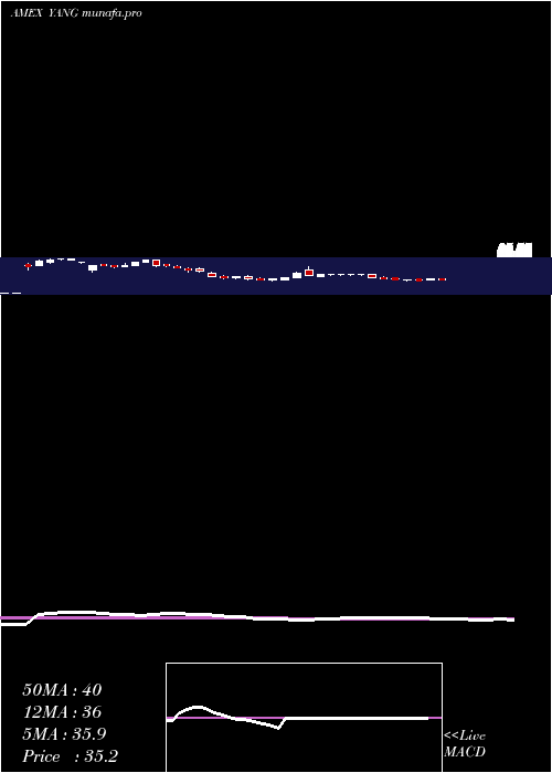  weekly chart DirexionDaily