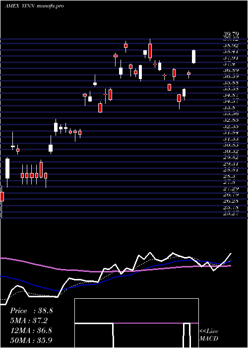  Daily chart DirexionDaily