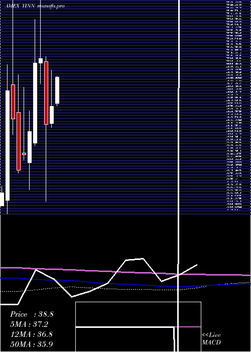 monthly chart DirexionDaily