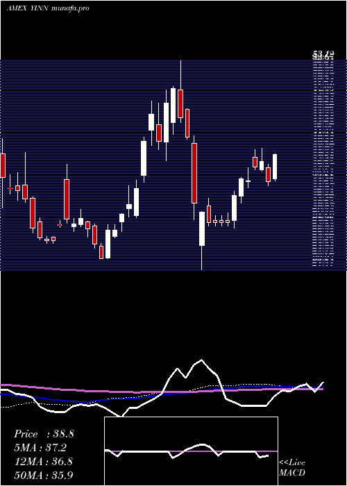 weekly chart DirexionDaily