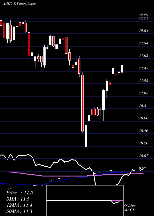 weekly chart YieldsharesHigh