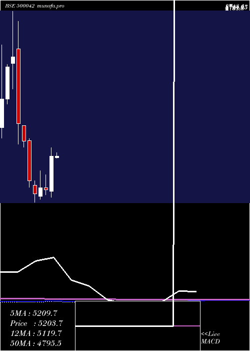 monthly chart BasfIndia