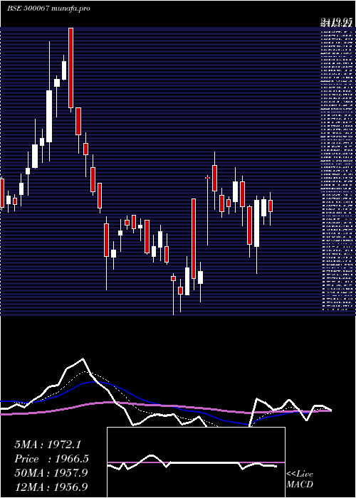  Daily chart BlueStar