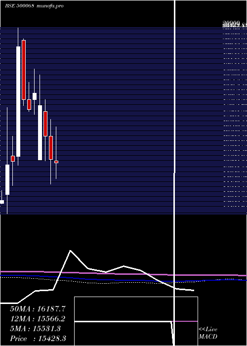  monthly chart DisaIndia